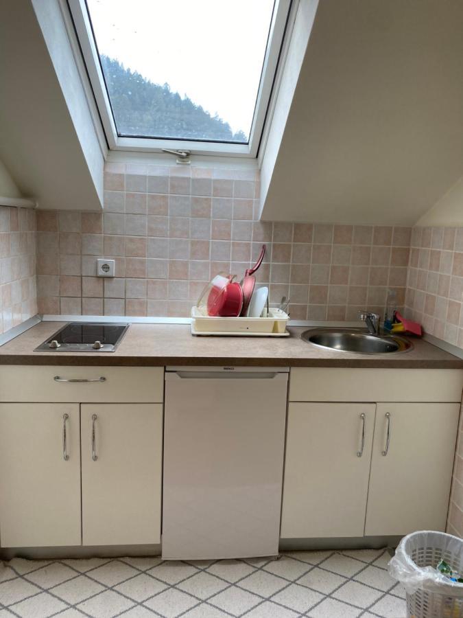 Apartma Regina Slovenj Gradec Eksteriør bilde